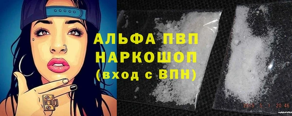 герыч Корсаков