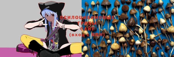 кокаин колумбия Костерёво