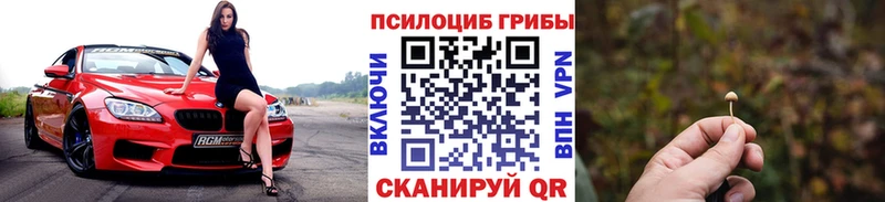 Псилоцибиновые грибы Magic Shrooms  Южноуральск 